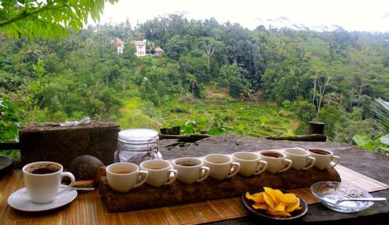 best coffee plantation to visit in bali