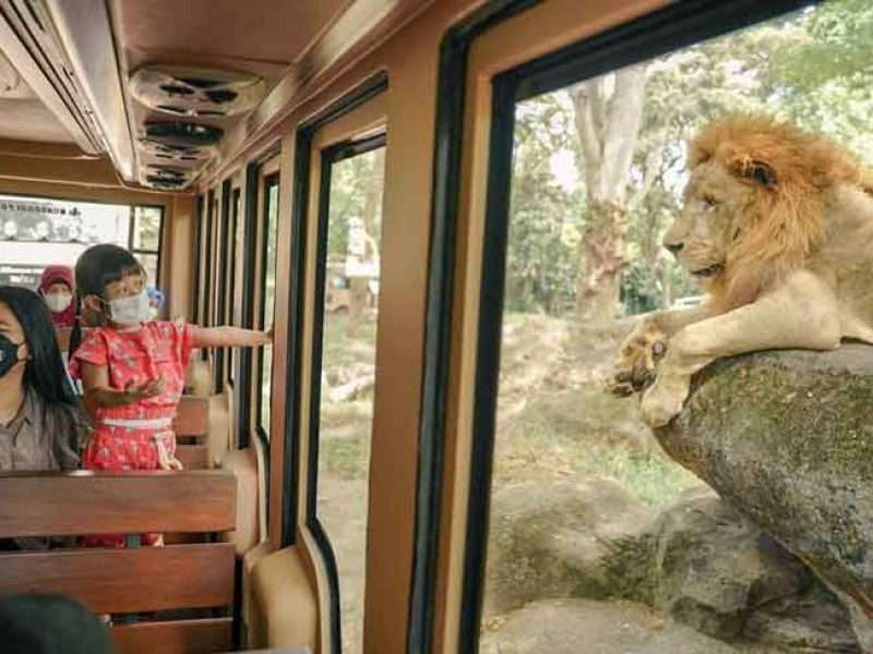 Bali Safari Marine Park Dragon Package