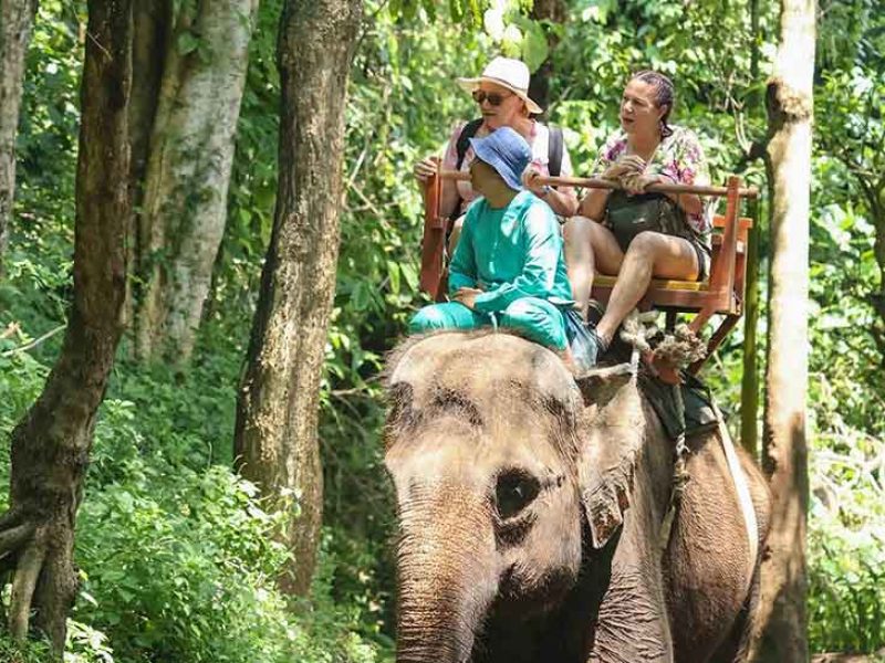 Bali Elephant Safari Ride at Bali Zoo