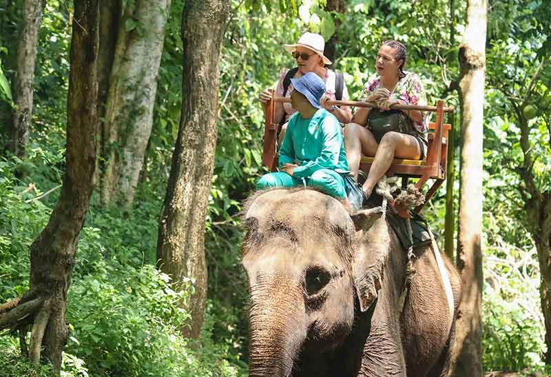 Bali Elephant Safari Ride at Bali Zoo