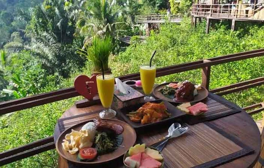 Exclusive Ubud Sightseeing Tour | Instagramable Spot and More