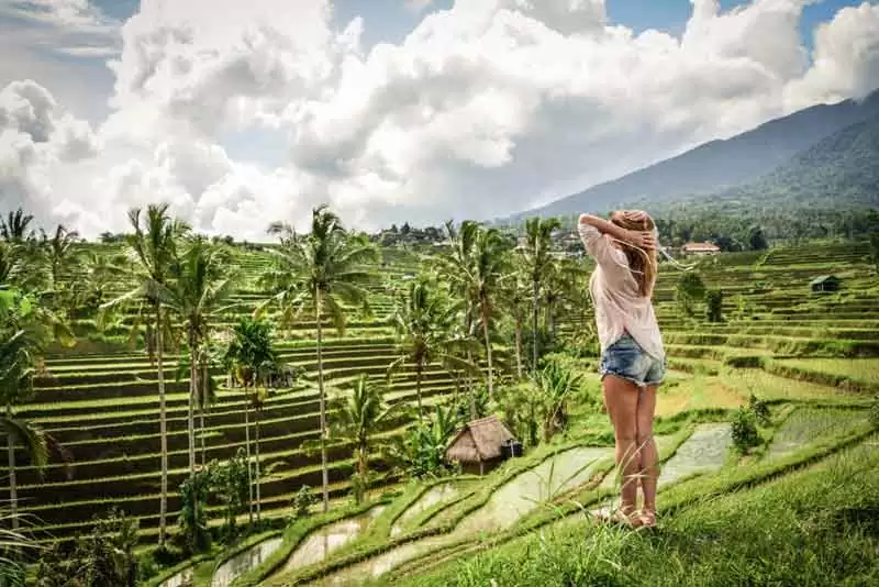 Bali Full-day Water Temples and Unesco Rice Terraces Tour