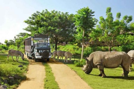 Jungle hopper package at Bali safari and Marine park included return transfers