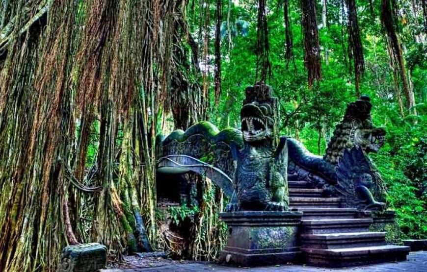 Private Ubud Waterfall Tour Rice Terrace and Monkey Forest