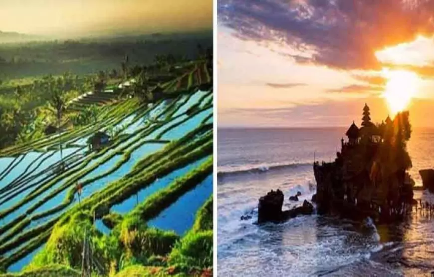 Bali Full-day Water Temples and Unesco Rice Terraces Tour