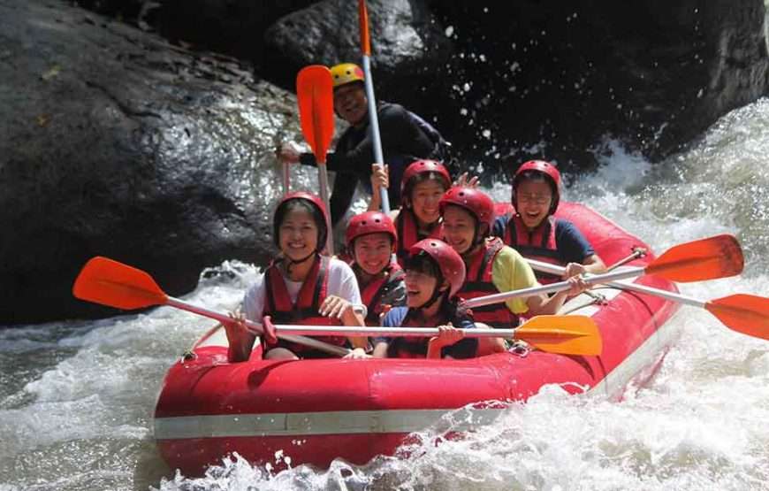 Full-Day Ayung River White Water Rafting and Ubud Tour