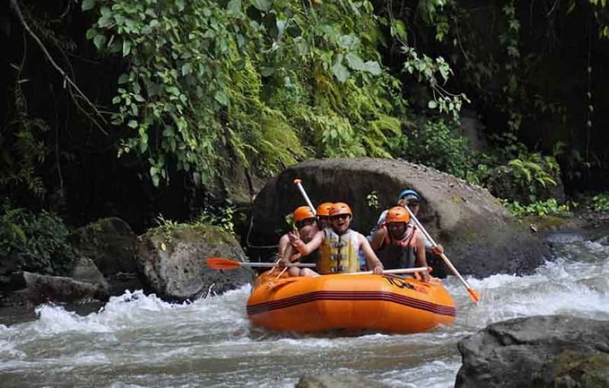 Ayung River Rafting Ubud Bali with Hotel Transfers