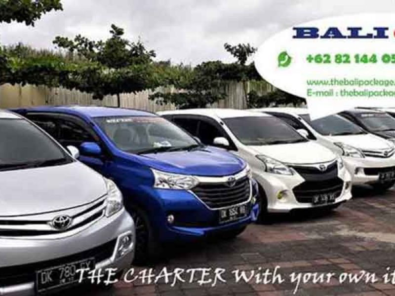 Bali private tour and transport in Bali