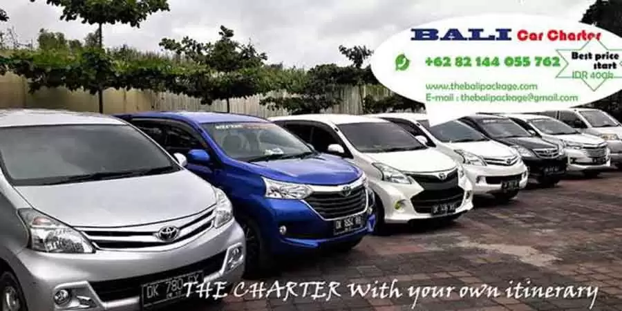 Bali private tour and transport in Bali