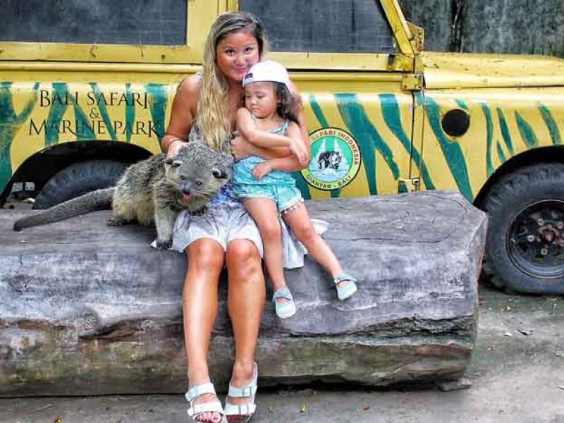 Bali Safari and Marine Park Jungle Hopper Package