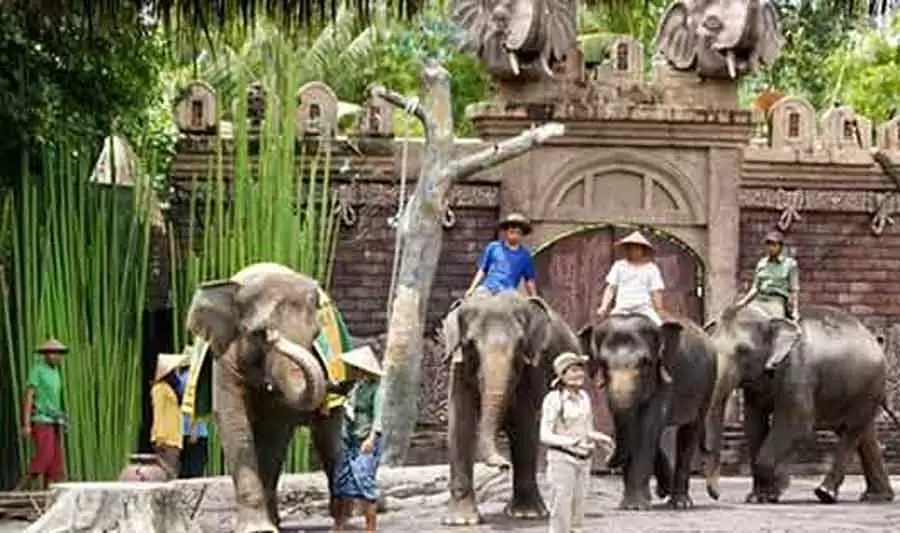Bali Safari Marine Park