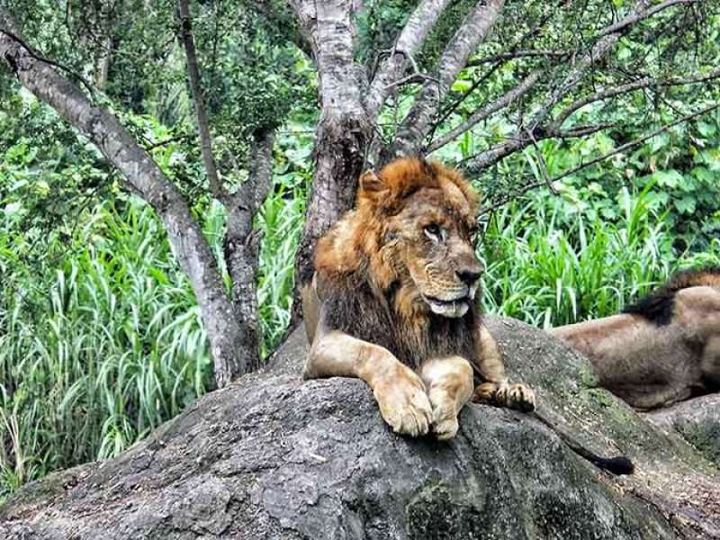 Distance from Ubud to Bali Safari Marine Park