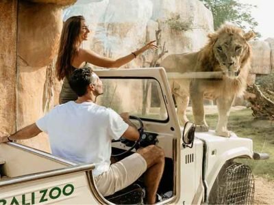 Bali Zoo Park Packages