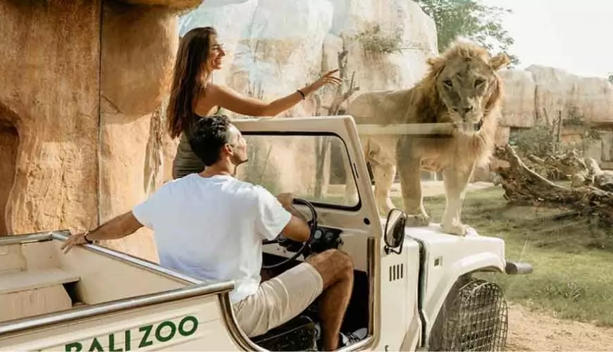 Bali Zoo Park Packages