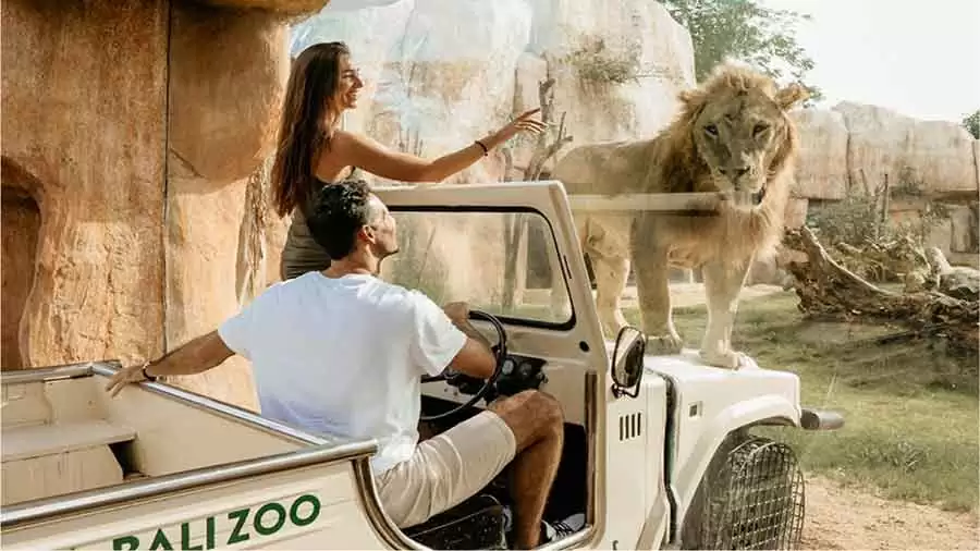 Bali Zoo Park Packages