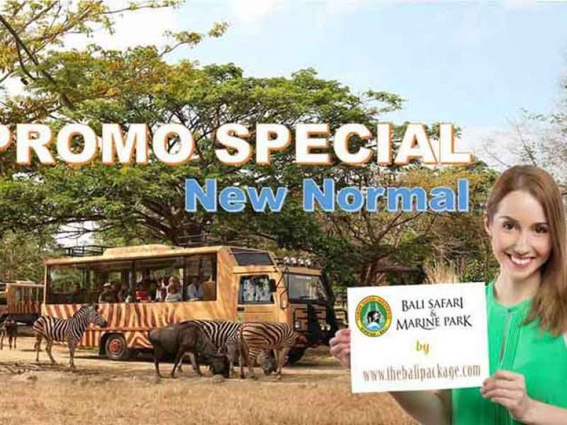 Nusa Dua to Bali Safari and Marine Park Distance