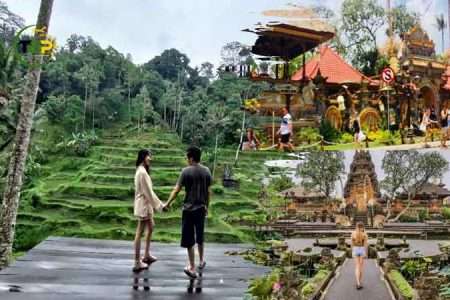 Private Ubud Waterfall Tour Rice Terrace and Monkey Forest