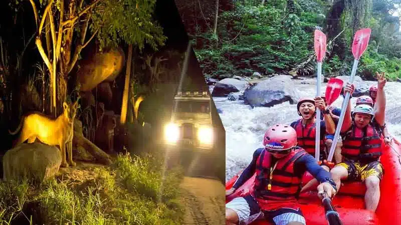 Ayung Rafting and Night Safari Package