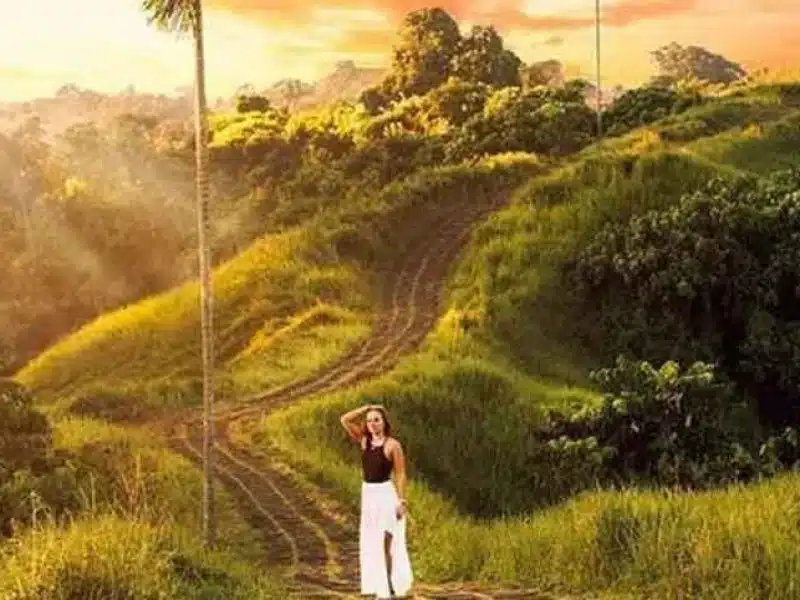 Campuhan Ridge Walk Ubud Bali, Location and How to Get There