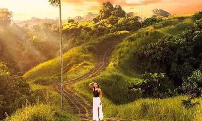 Campuhan Ridge Walk Ubud Bali, Location and How to Get There