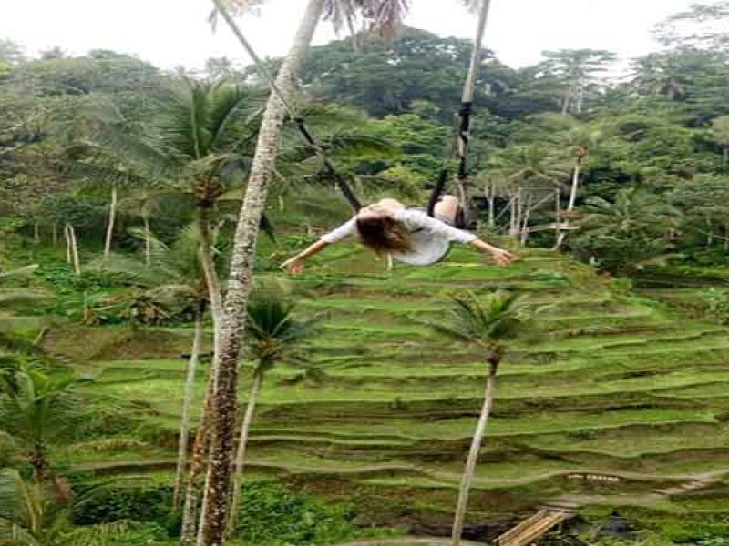 Tegalalang Rice Terrace Ubud