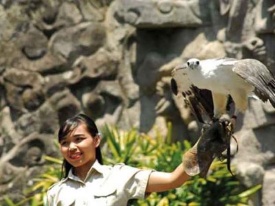 Animal Show Bali Safari Marine Park
