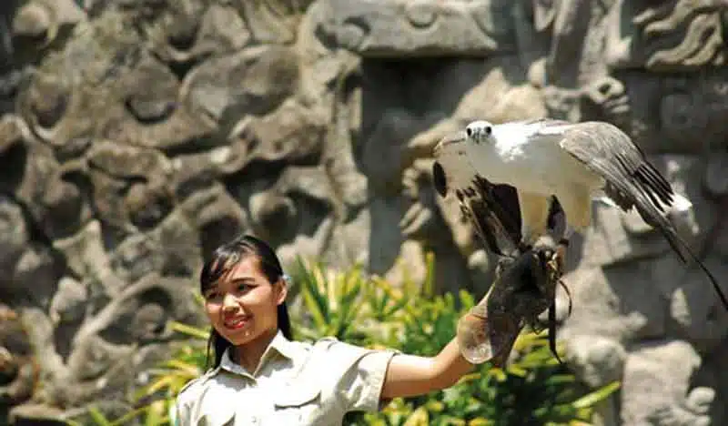 Animal Show Bali Safari Marine Park