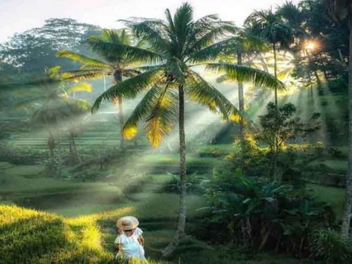 Ubud Tour - Best of Ubud - All Inclusive