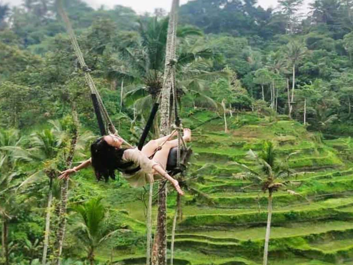 Bali Swing Tour Package