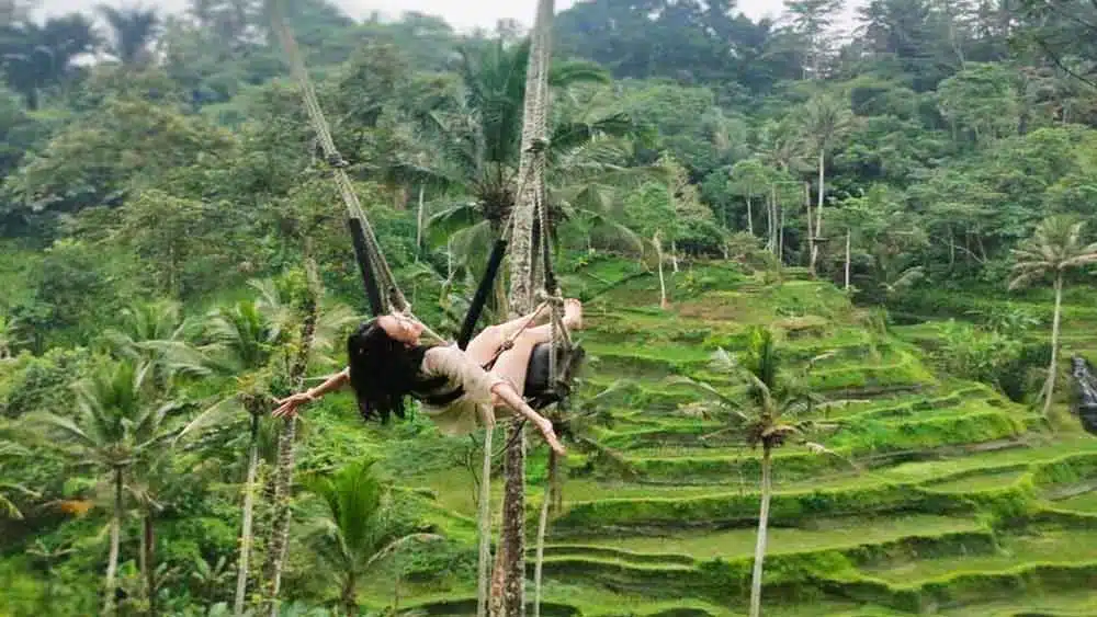 Bali Swing Tour Package