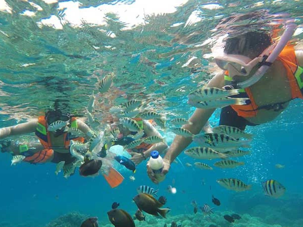 Snorkeling Blue Lagoon Bali
