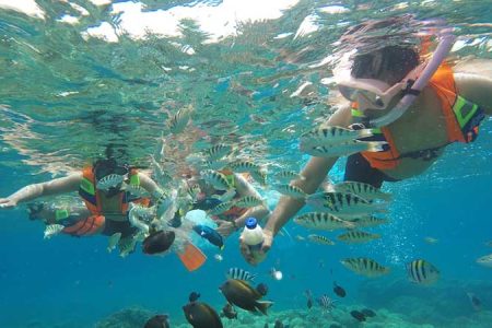 Snorkeling Blue Lagoon Bali