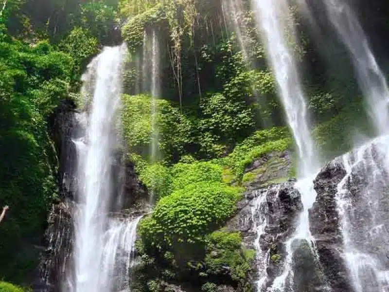 A vacation To Bali Cost For 3 People