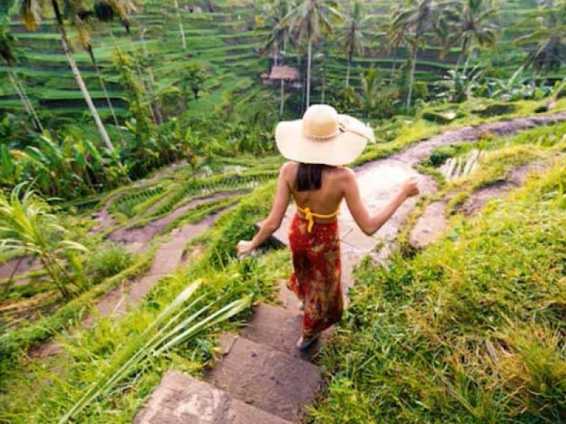 Ubud Waterfall Rice Terraces Monkey Forest Tour