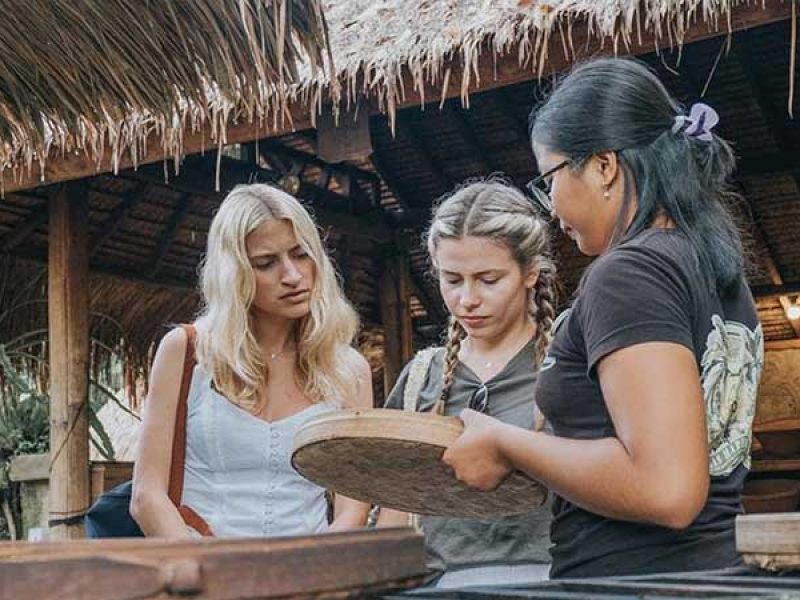 Ubud Waterfall Rice Terraces Monkey Forest Tour