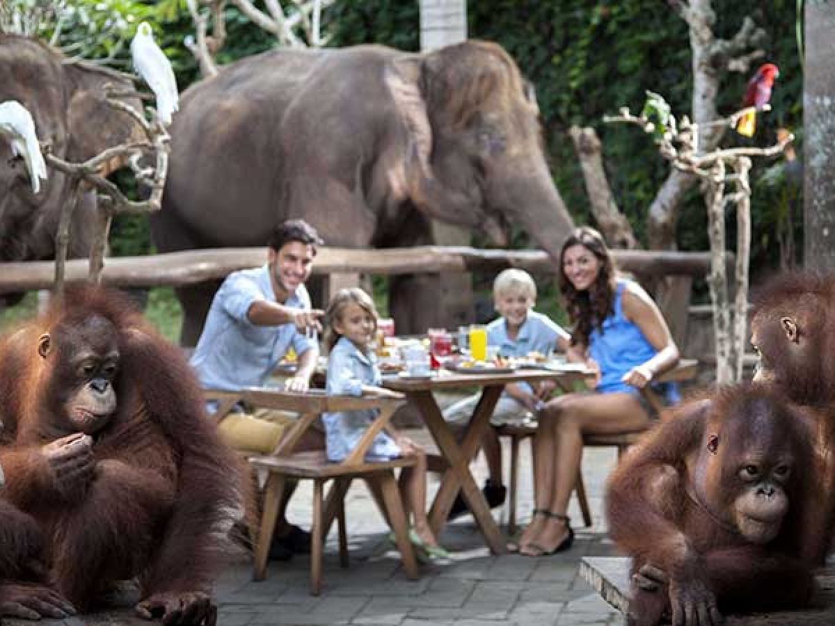 Bali ATV Ride, Breakfast Orangutan and Tlaga Singha Pool Bar