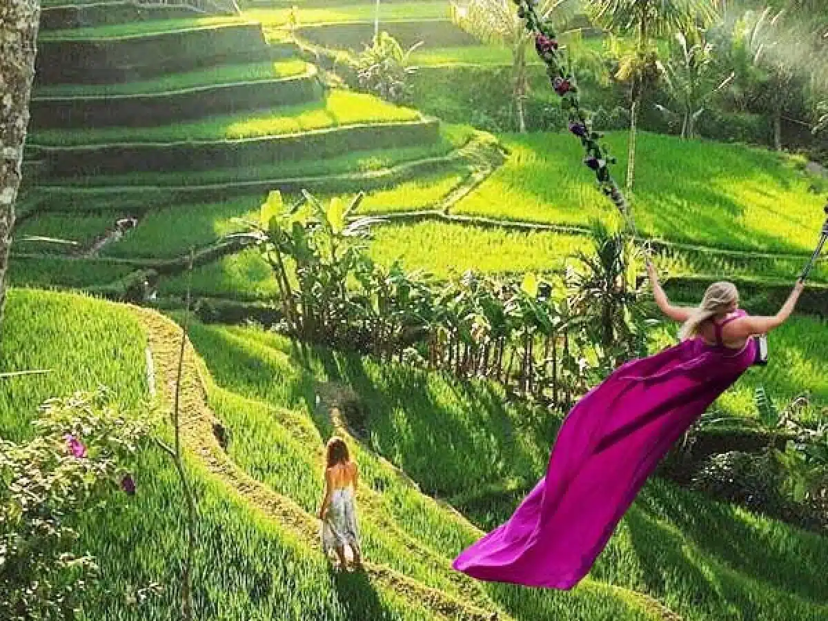 Ubud Monkey Forest, Jungle Swing, Rice Terrace, and Water Temple