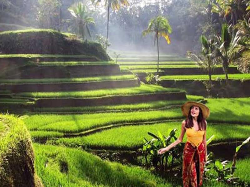 Kintamani Volcano Tour with Ubud Village