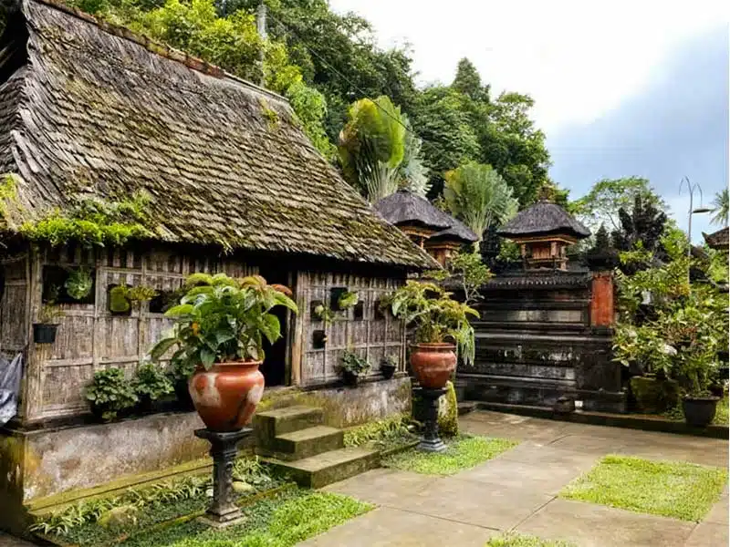 Bali Full-Day Traditional Village Sightseeing Trip All Inclusive