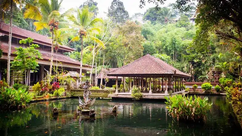 Ubud Top Attractions Tour with Waterfalls, Temples & Rice Terraces