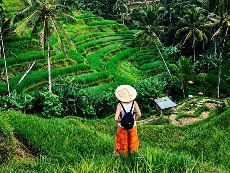 Best of Ubud Full-Day Tour with Jungle Swing