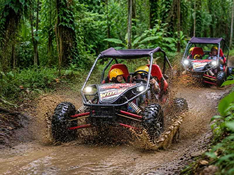 Buggy Jungle Adventure